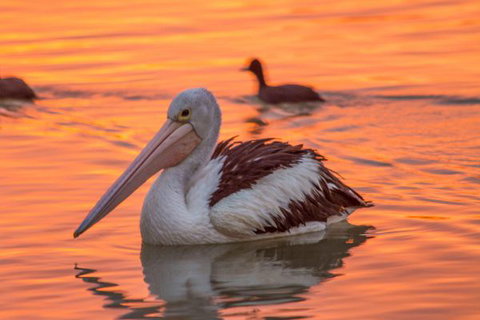 1 Murray Terrace-River Shack Rentals - Holiday Find 9